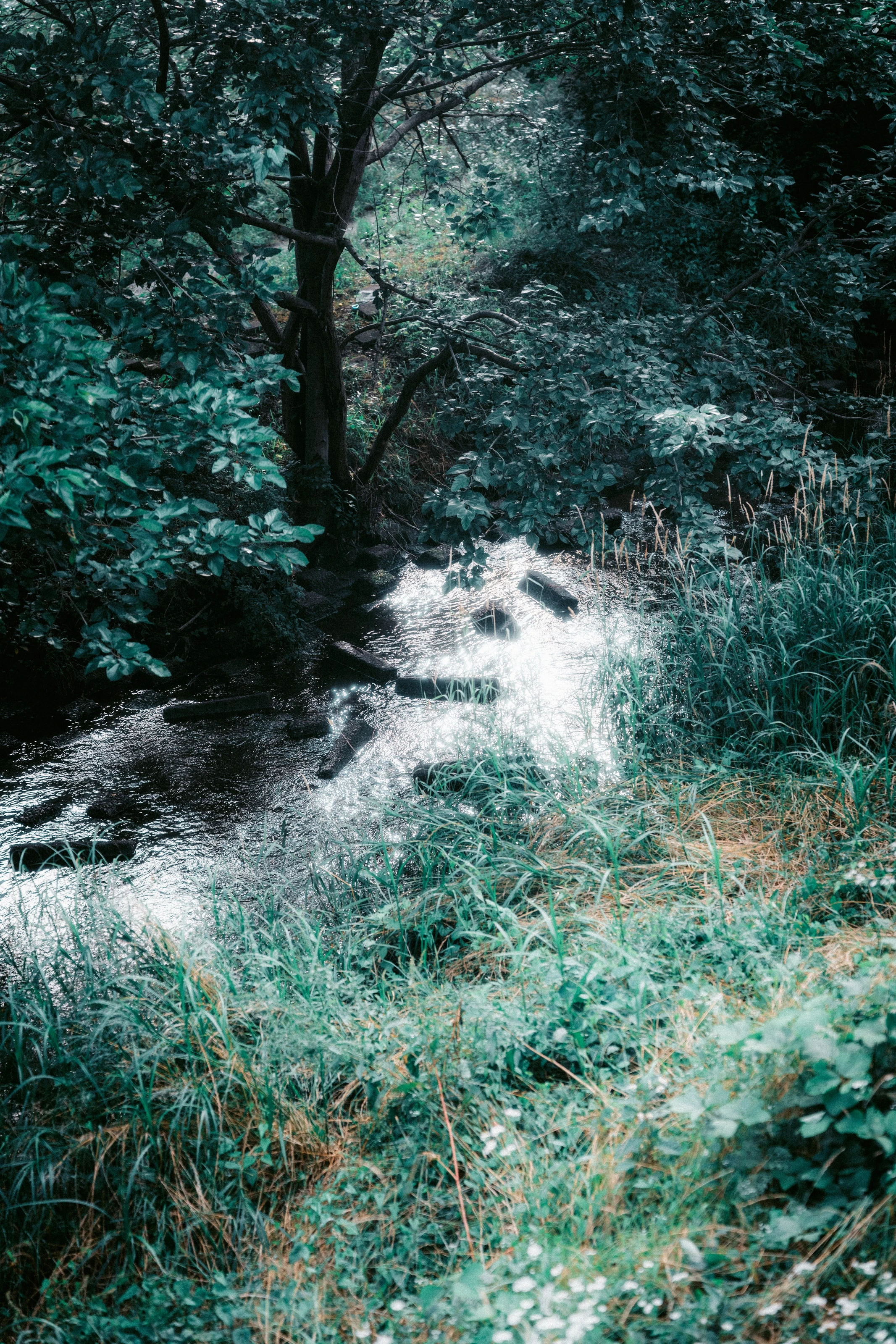 人像 1