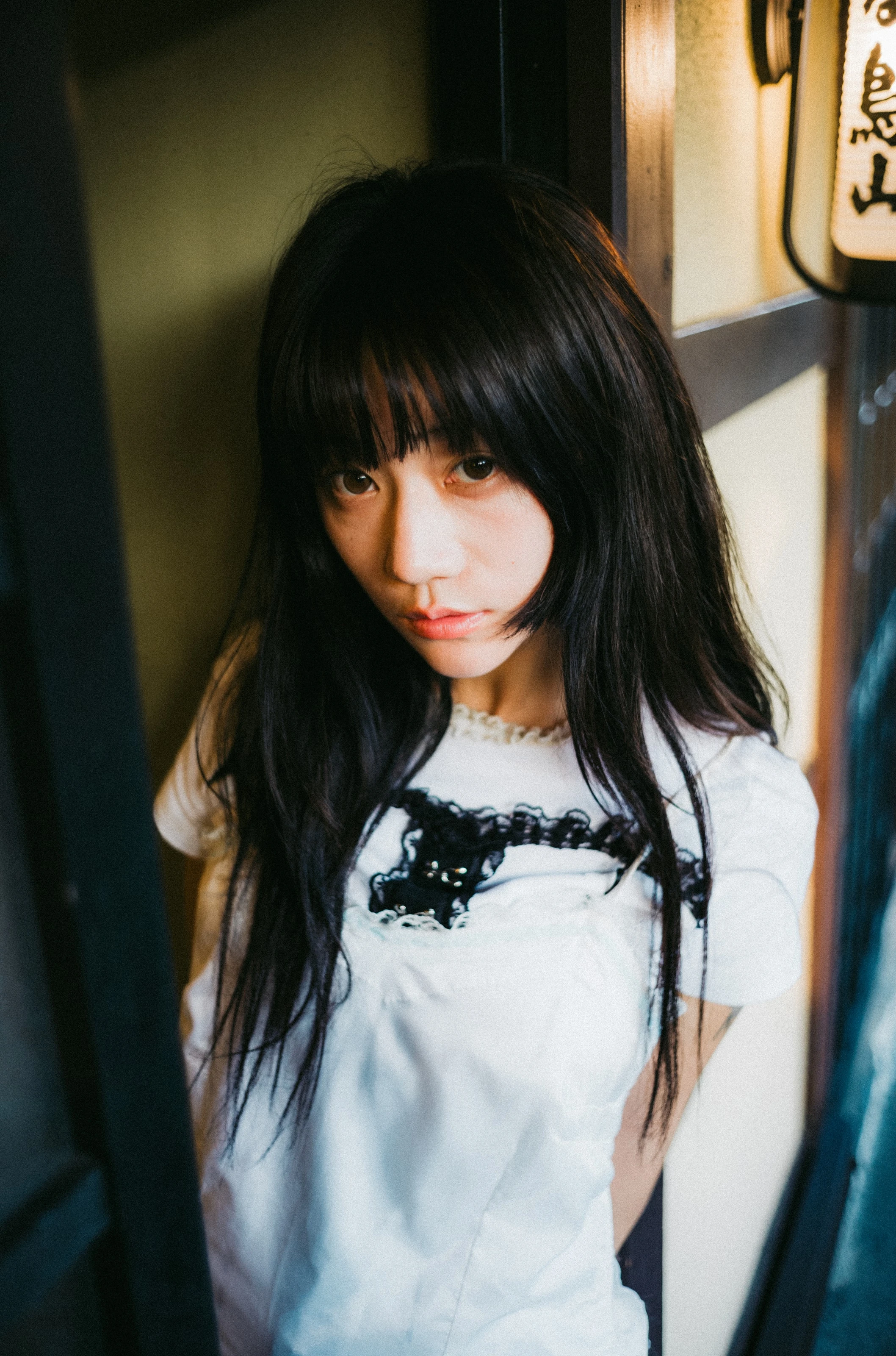 人像 12