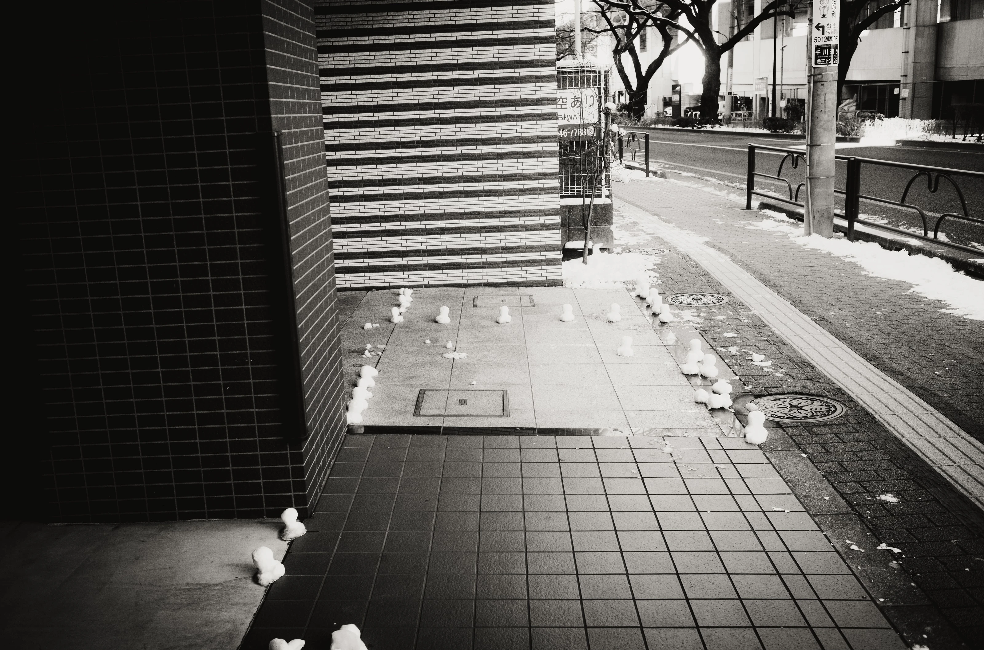 街拍 1